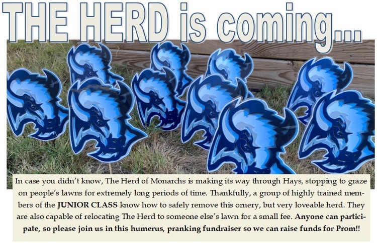 The Herd