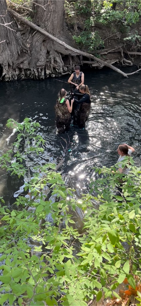 Seining Big Creek