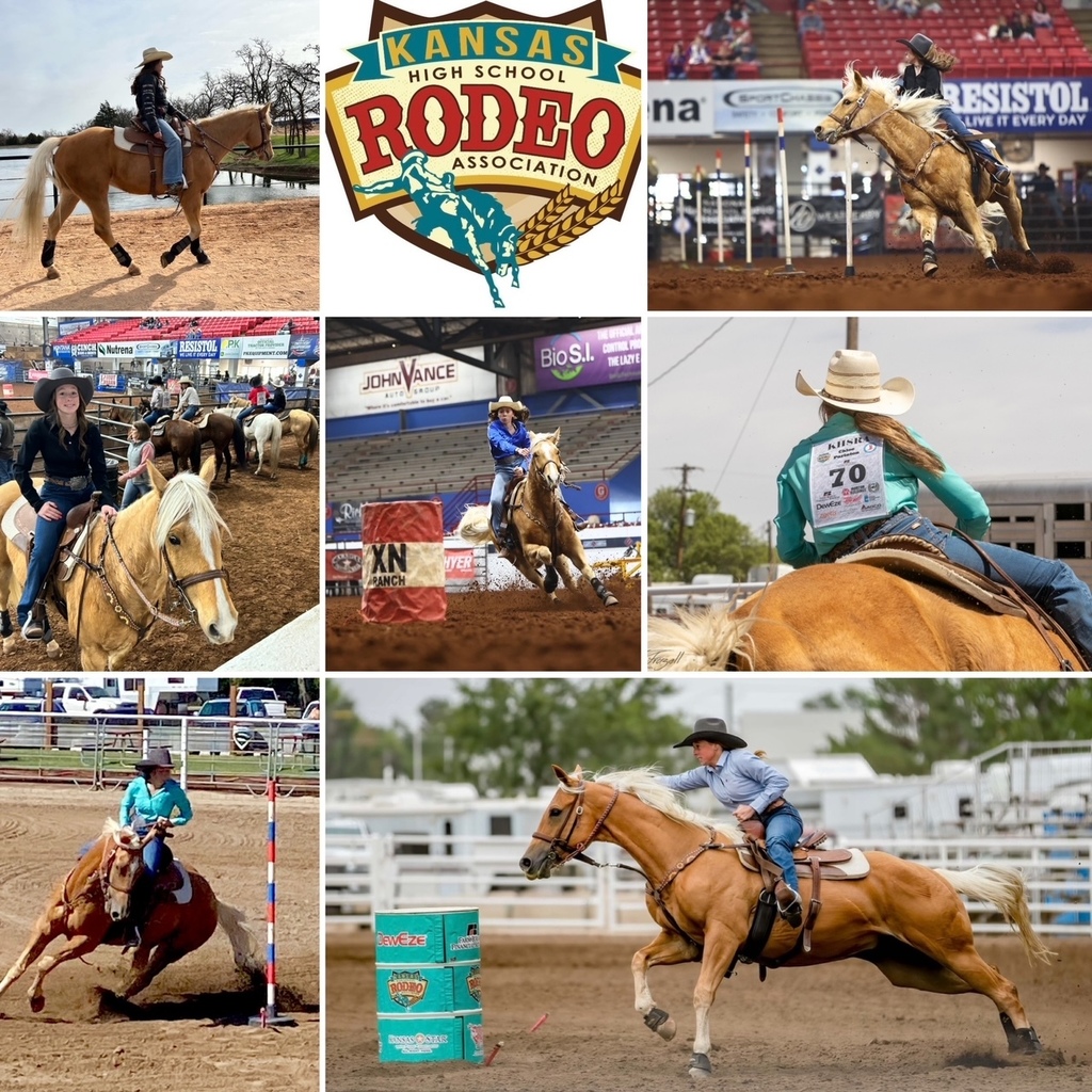 Collage of Purinton Rodeo pictures